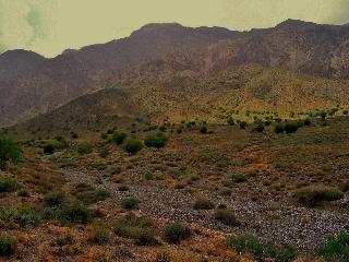 Hazarganji Chiltan National Park