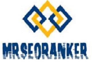 Mrseoranker.com